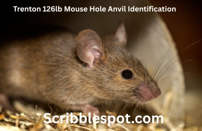 trenton 126lb mouse hole anvil identification