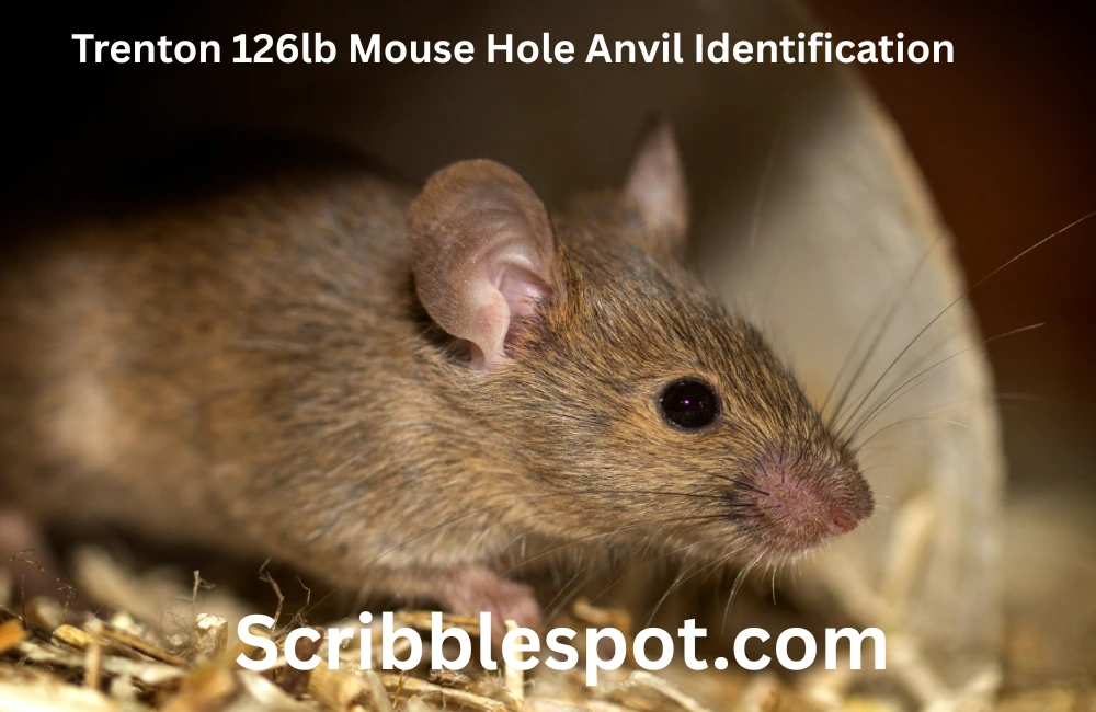 trenton 126lb mouse hole anvil identification