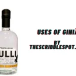 giniä