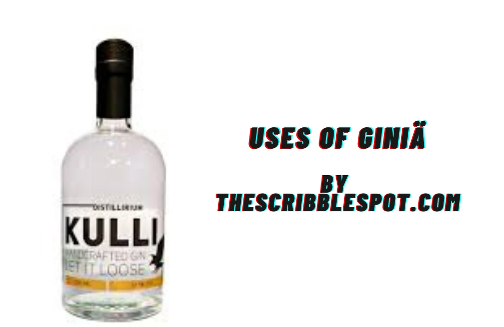 giniä