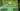 maryjays dc weed dispensary juice bar washington reviews